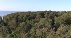 Ansicht-Kronen-300x164 in