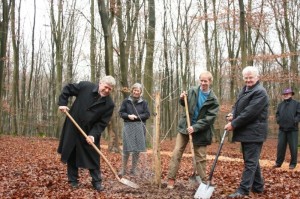 Img 44282-300x199 in