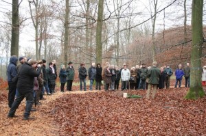 Img 44491-300x199 in 